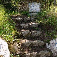 Capri Philosophical Park
